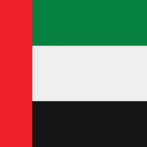 Dubai-Flag